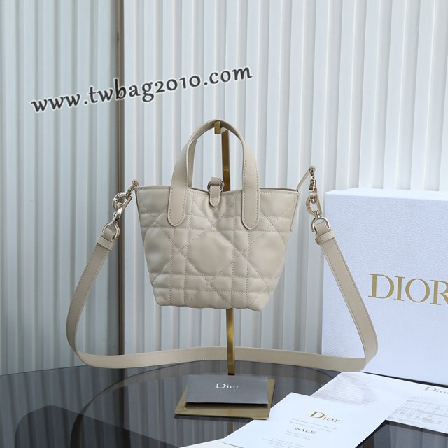 Dior专柜2025新款原厂皮手提包迪奥高仿原单杏色迷你toujours竖版手袋 djfk1842